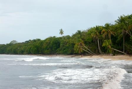Cahuita Caribbean Site