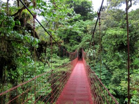 Monteverde Costa Rica Hangin Bri